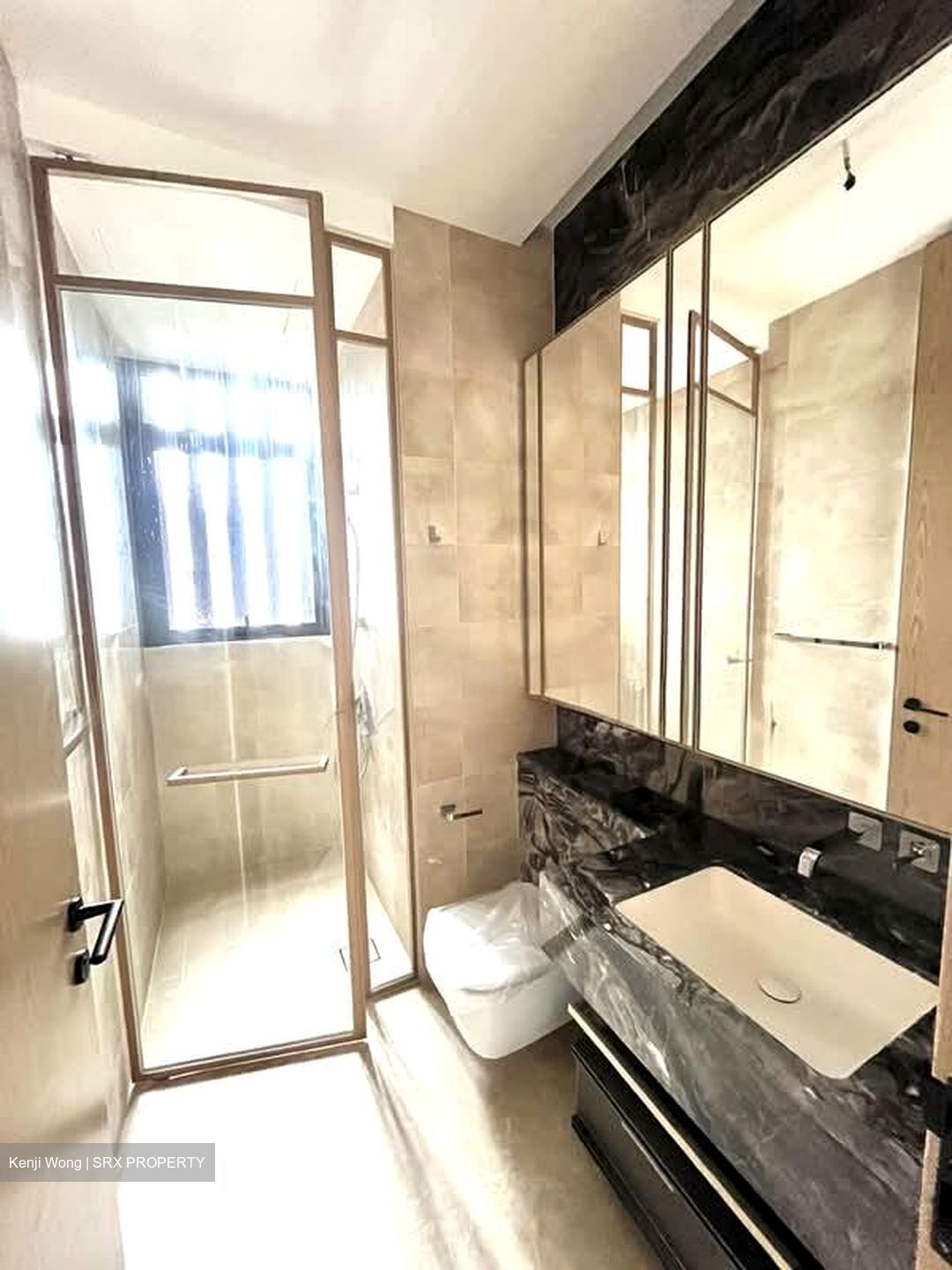 The Avenir (D9), Condominium #561634541